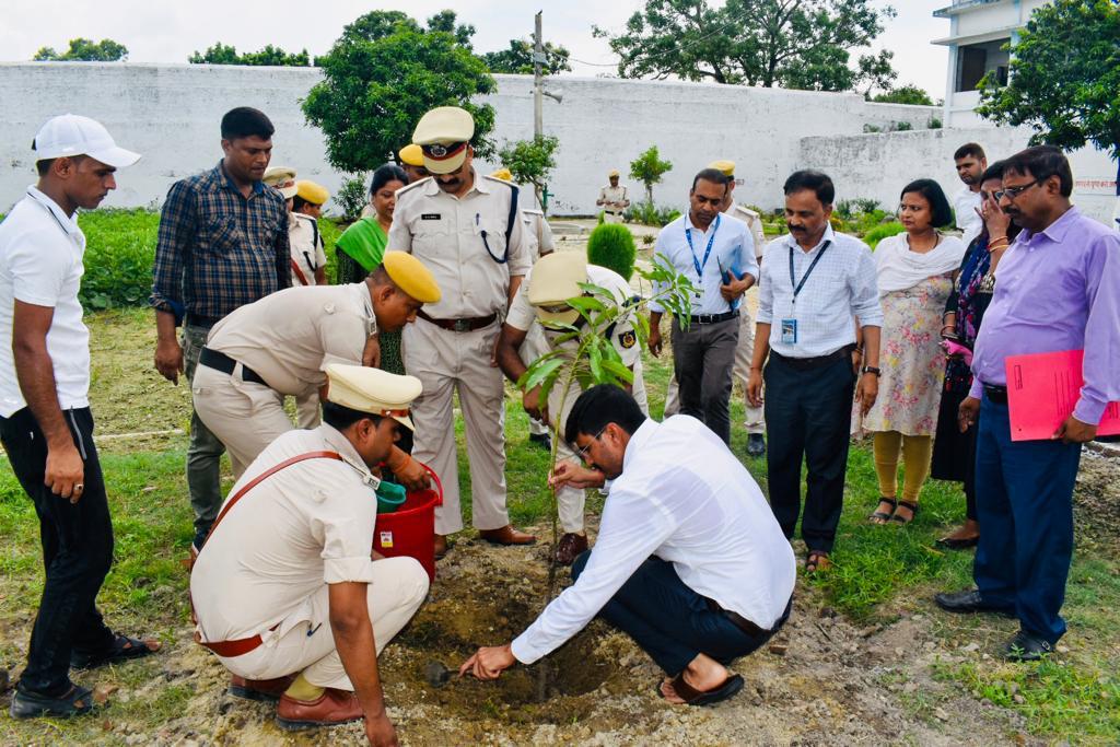 Trees Planted